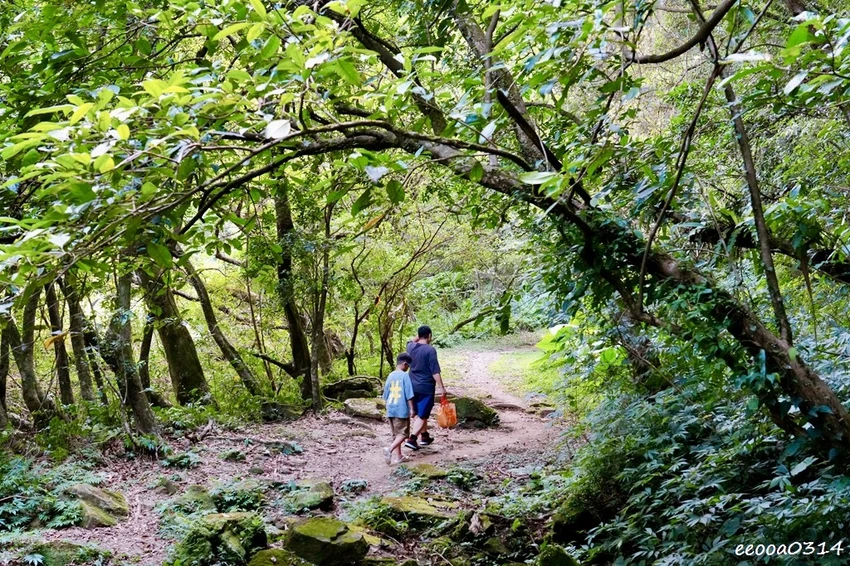 新北親子步道推薦｜雙溪虎豹潭古道，溪水清澈可觀魚、林蔭遮蔽輕