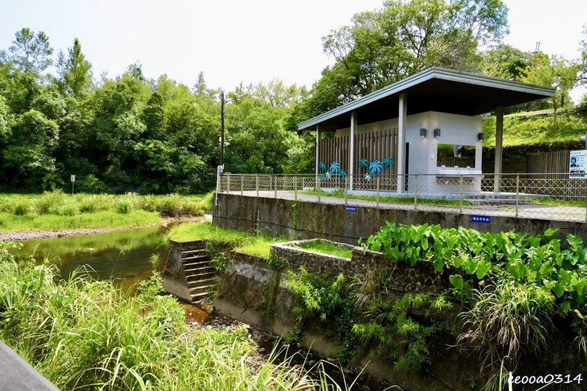 新北親子步道推薦｜雙溪虎豹潭古道，溪水清澈可觀魚、林蔭遮蔽輕