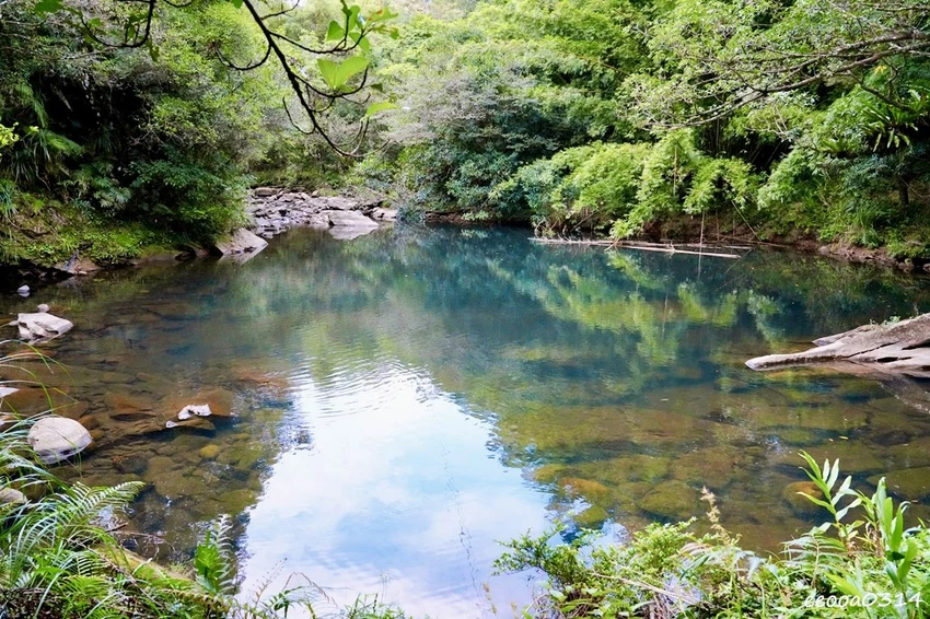 新北親子步道推薦｜雙溪虎豹潭古道，溪水清澈可觀魚、林蔭遮蔽輕