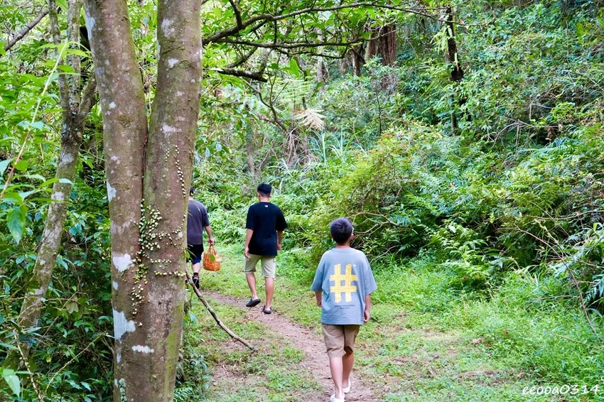 新北親子步道推薦｜雙溪虎豹潭古道，溪水清澈可觀魚、林蔭遮蔽輕