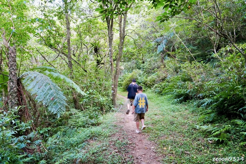 新北親子步道推薦｜雙溪虎豹潭古道，溪水清澈可觀魚、林蔭遮蔽輕