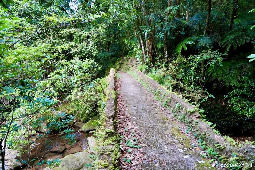 新北親子步道推薦｜雙溪虎豹潭古道，溪水清澈可觀魚、林蔭遮蔽輕