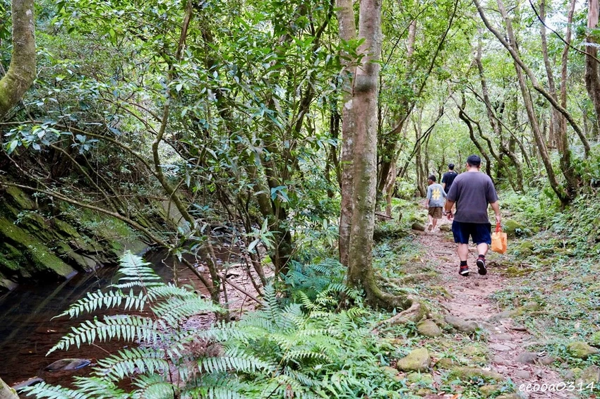 新北親子步道推薦｜雙溪虎豹潭古道，溪水清澈可觀魚、林蔭遮蔽輕