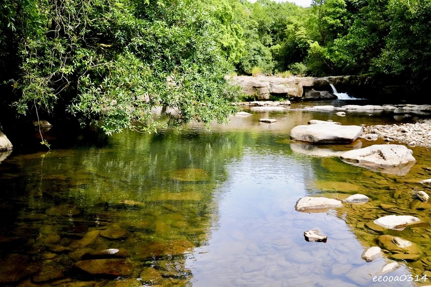 新北親子步道推薦｜雙溪虎豹潭古道，溪水清澈可觀魚、林蔭遮蔽輕