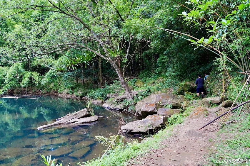新北親子步道推薦｜雙溪虎豹潭古道，溪水清澈可觀魚、林蔭遮蔽輕