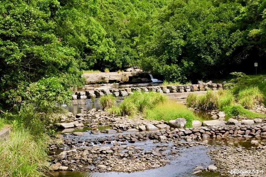 新北親子步道推薦｜雙溪虎豹潭古道，溪水清澈可觀魚、林蔭遮蔽輕