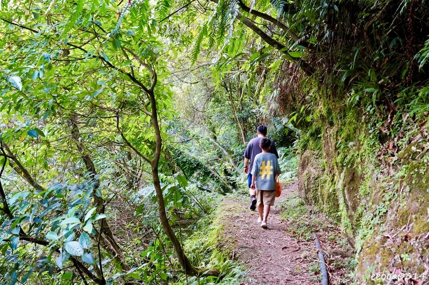 新北親子步道推薦｜雙溪虎豹潭古道，溪水清澈可觀魚、林蔭遮蔽輕
