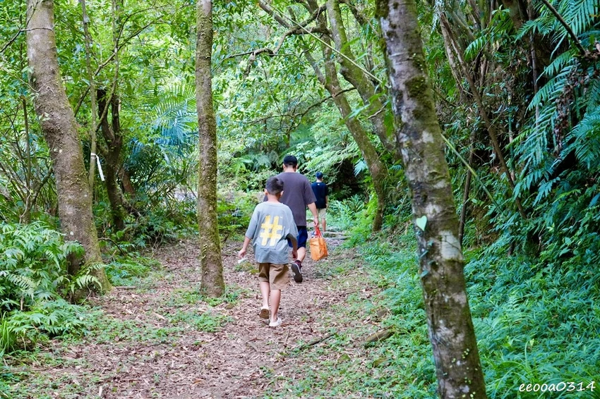 新北親子步道推薦｜雙溪虎豹潭古道，溪水清澈可觀魚、林蔭遮蔽輕