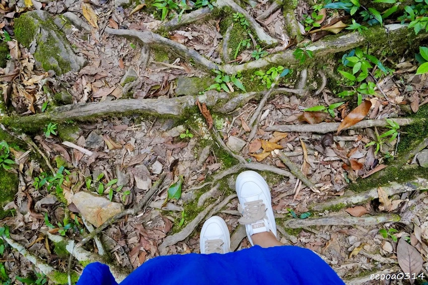 新北親子步道推薦｜雙溪虎豹潭古道，溪水清澈可觀魚、林蔭遮蔽輕