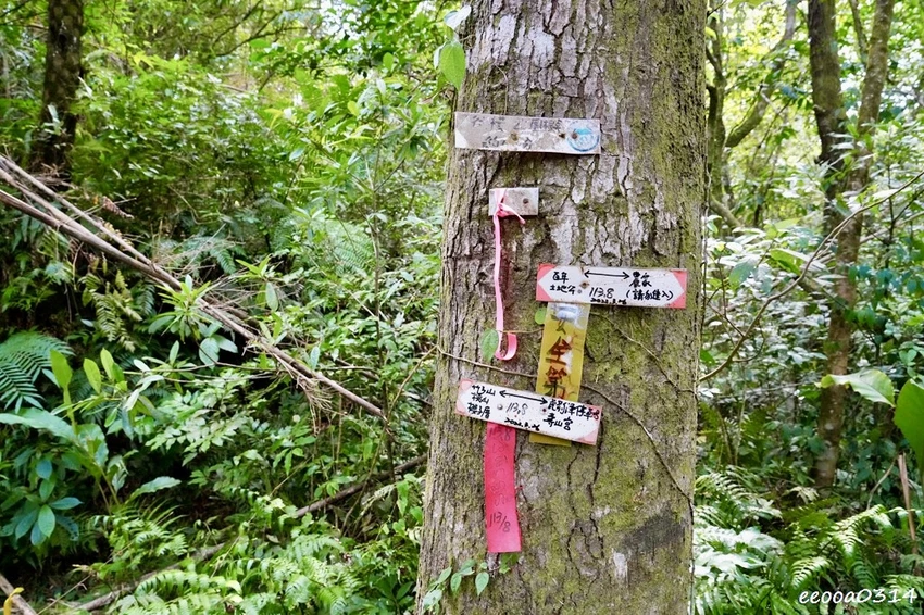新北親子步道推薦｜雙溪虎豹潭古道，溪水清澈可觀魚、林蔭遮蔽輕