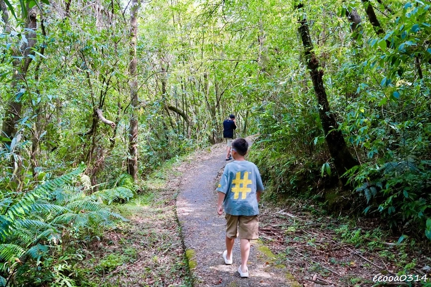 新北親子步道推薦｜雙溪虎豹潭古道，溪水清澈可觀魚、林蔭遮蔽輕