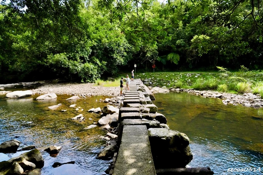 新北親子步道推薦｜雙溪虎豹潭古道，溪水清澈可觀魚、林蔭遮蔽輕