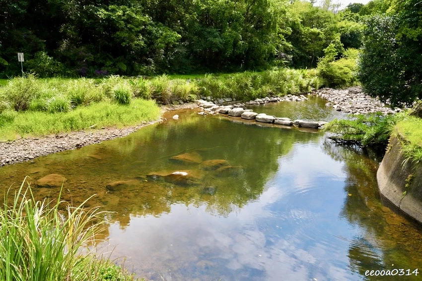 新北親子步道推薦｜雙溪虎豹潭古道，溪水清澈可觀魚、林蔭遮蔽輕