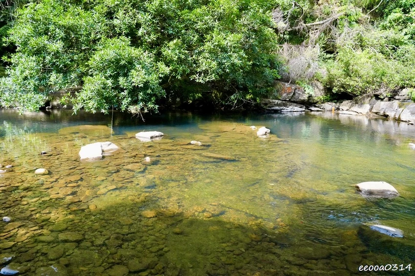 新北親子步道推薦｜雙溪虎豹潭古道，溪水清澈可觀魚、林蔭遮蔽輕