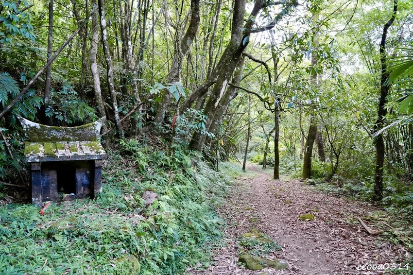 新北親子步道推薦｜雙溪虎豹潭古道，溪水清澈可觀魚、林蔭遮蔽輕