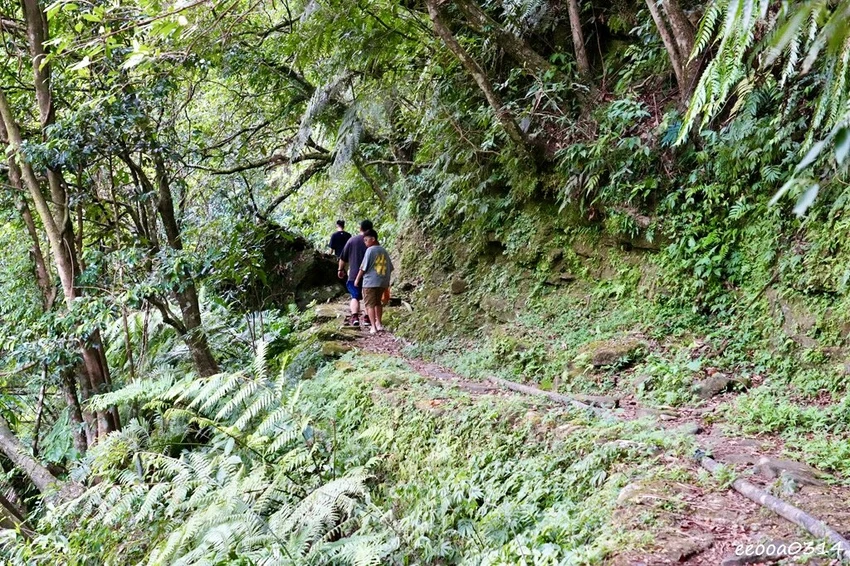 新北親子步道推薦｜雙溪虎豹潭古道，溪水清澈可觀魚、林蔭遮蔽輕