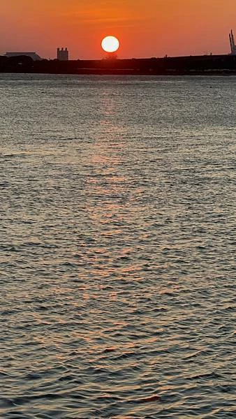 IMG_0202.JPG IMG_0202.JPG