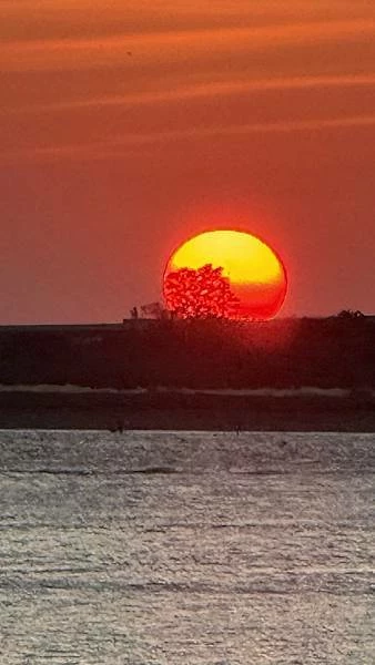 IMG_0207 (1).jpg IMG_0207 (1).jpg