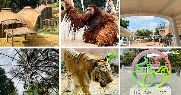 IMG_5333.JPG IMG_5333.JPG