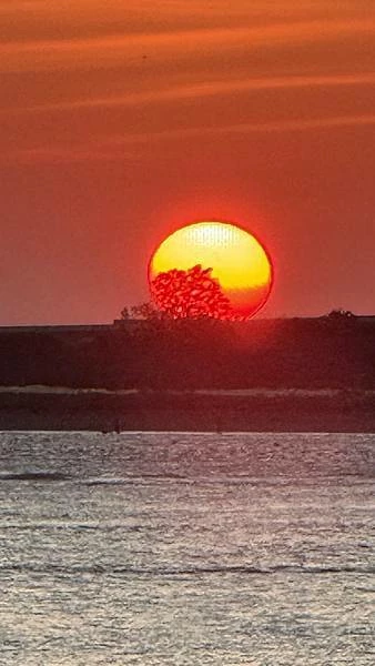 IMG_0206 (2).jpg IMG_0206 (2).jpg