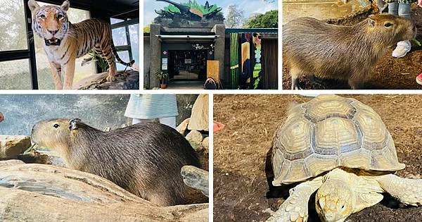 IMG_5330.JPG IMG_5330.JPG