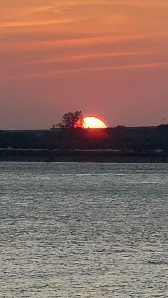 IMG_0209 (1).JPG IMG_0209 (1).JPG