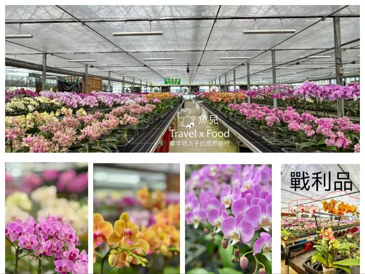 桃園-大溪老街-協盛木器/姚茶館私房料理