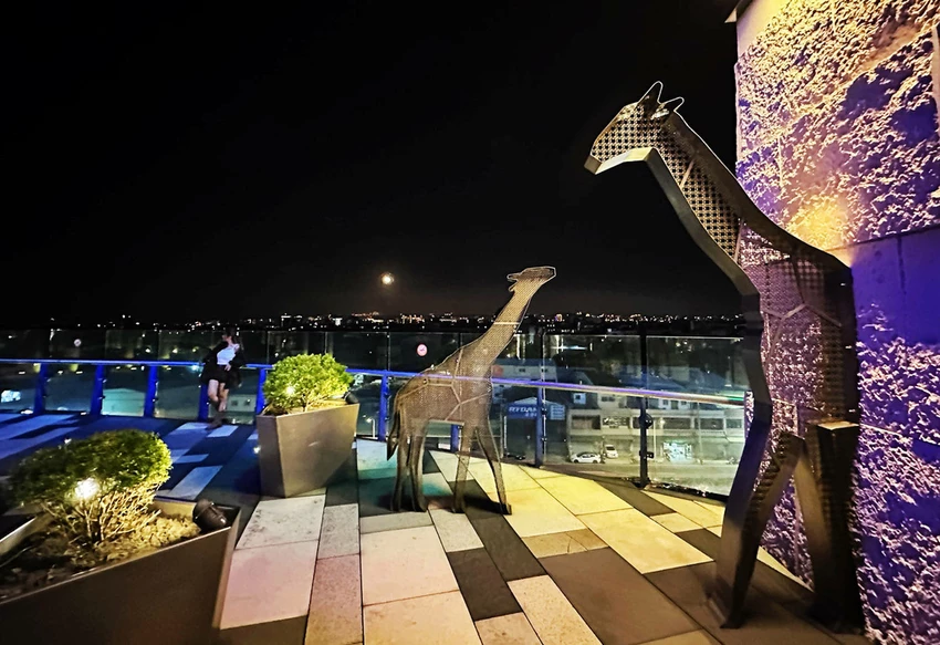 不知道去哪,那就去大江!全國獨家!全年免費停車,全桃最美打卡 不知道去哪,那就去大江!全國獨家!全年免費停車,全桃最美打卡