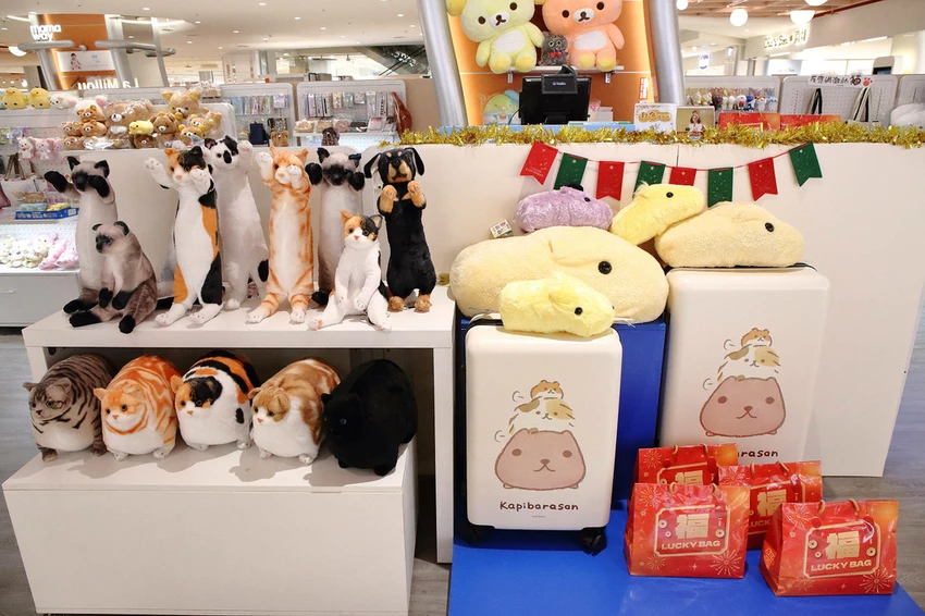 不知道去哪,那就去大江!全國獨家!全年免費停車,全桃最美打卡 不知道去哪,那就去大江!全國獨家!全年免費停車,全桃最美打卡