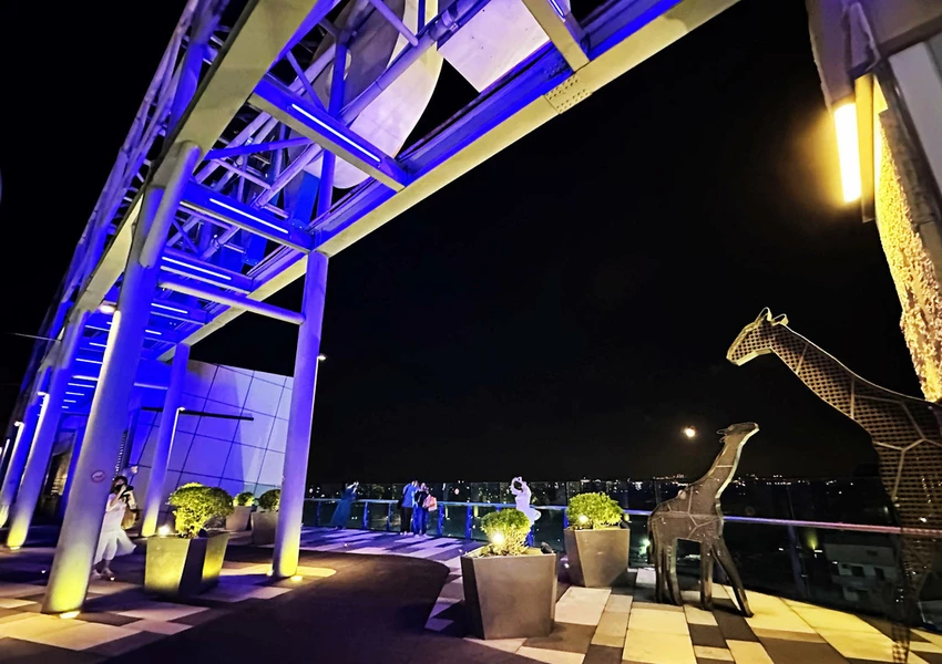 不知道去哪,那就去大江!全國獨家!全年免費停車,全桃最美打卡 不知道去哪,那就去大江!全國獨家!全年免費停車,全桃最美打卡