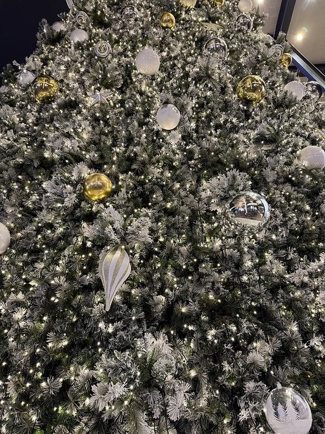 2025新光三越台北信義新天地耶誕樹、傳遞幸福之樹，活動日期