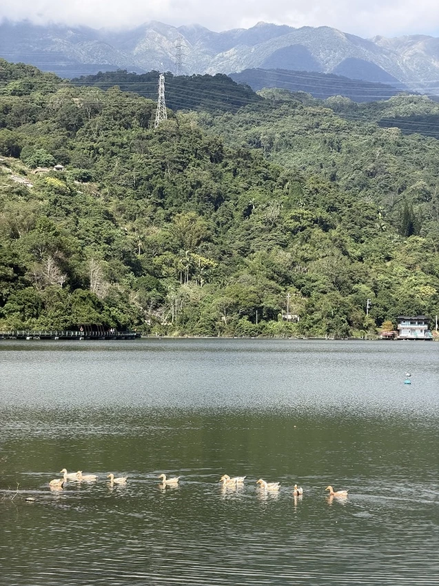 2025宜蘭龍潭湖的湖畔風光，礁溪漁田村品嚐家常料理餐館，湯