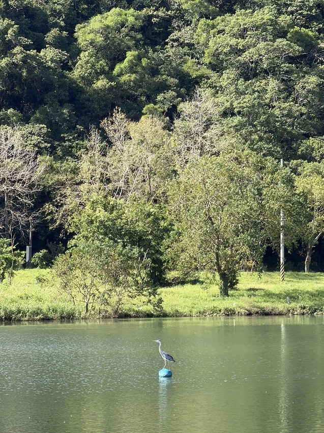 2025宜蘭龍潭湖的湖畔風光，礁溪漁田村品嚐家常料理餐館，湯