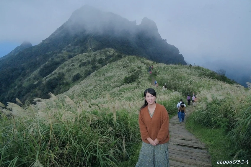 新北瑞芳半屏山步道|800公尺輕鬆好走! 親子級賞芒花步道全 新北瑞芳半屏山步道|800公尺輕鬆好走! 親子級賞芒花步道全