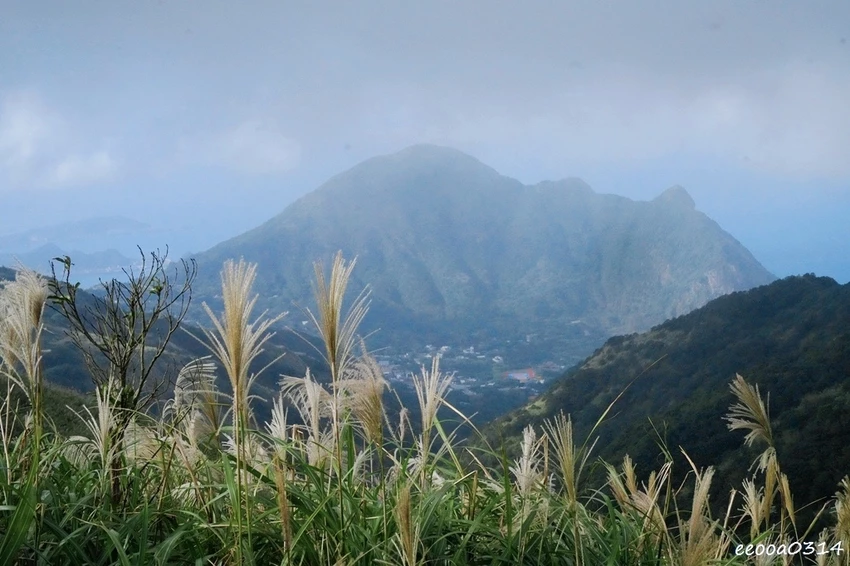 新北瑞芳半屏山步道|800公尺輕鬆好走! 親子級賞芒花步道全 新北瑞芳半屏山步道|800公尺輕鬆好走! 親子級賞芒花步道全