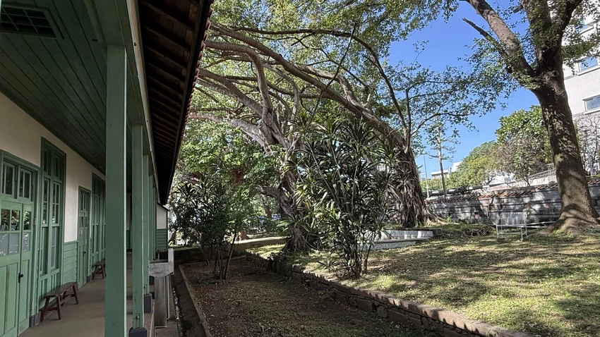 IMG_2893 (1).jpg IMG_2893 (1).jpg