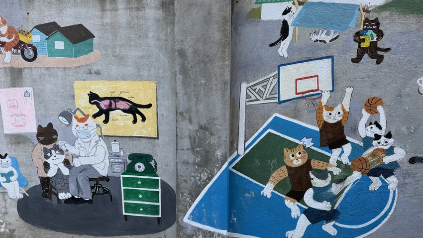 IMG_2731 (1).jpg IMG_2731 (1).jpg