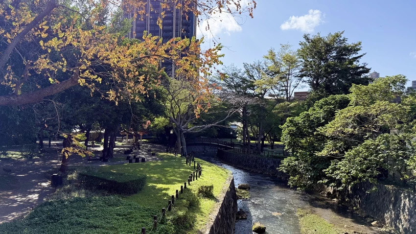 IMG_2701 (2).jpg IMG_2701 (2).jpg