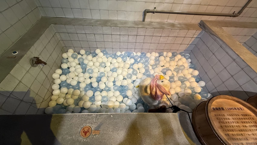 IMG_2784 (2).jpg IMG_2784 (2).jpg