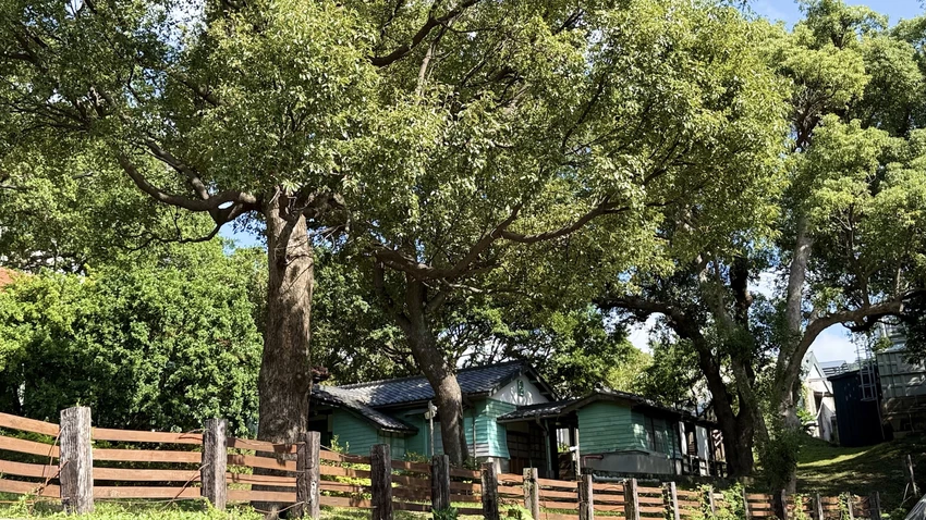 IMG_2868 (3).jpg IMG_2868 (3).jpg