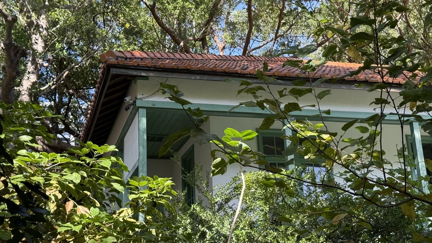 IMG_2899 (1).jpg IMG_2899 (1).jpg