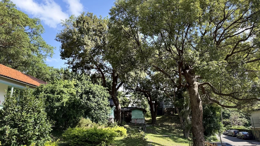 IMG_2877 (2).jpg IMG_2877 (2).jpg