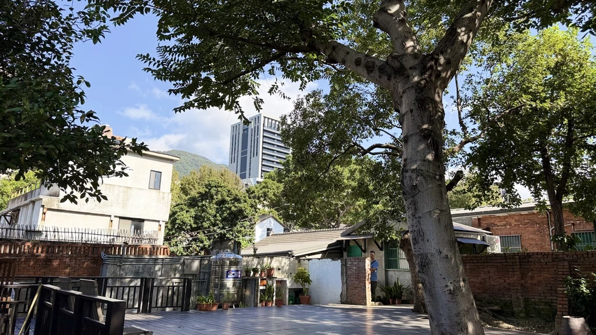 IMG_2746 (1).jpg IMG_2746 (1).jpg