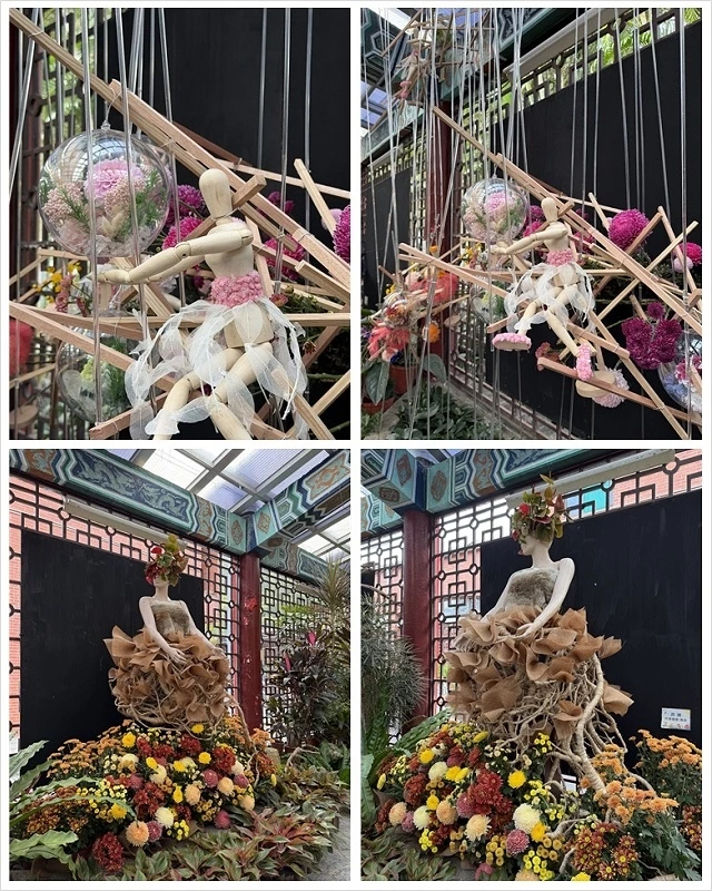 2025士林官邸菊展、主題:藝菊圓夢,活動日期:2025/1 2025士林官邸菊展、主題:藝菊圓夢,活動日期:2025/1