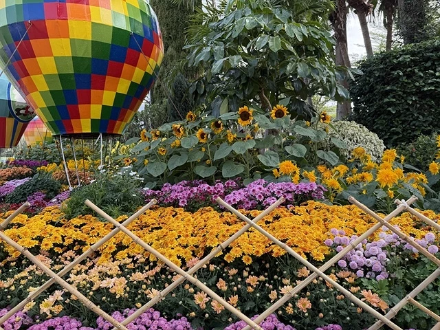 2025士林官邸菊展、主題:藝菊圓夢,活動日期:2025/1 2025士林官邸菊展、主題:藝菊圓夢,活動日期:2025/1