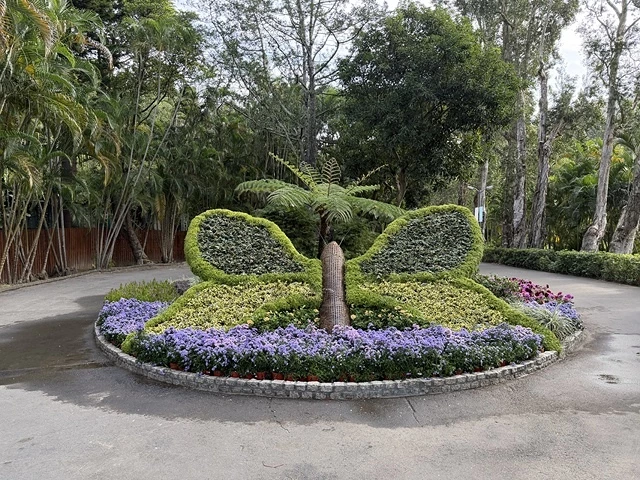 2025士林官邸菊展、主題:藝菊圓夢,活動日期:2025/1 2025士林官邸菊展、主題:藝菊圓夢,活動日期:2025/1