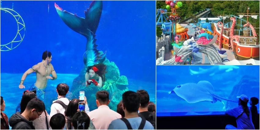 花蓮遠雄海洋公園，全台唯一真人美人魚秀，山海景纜車親子遊。