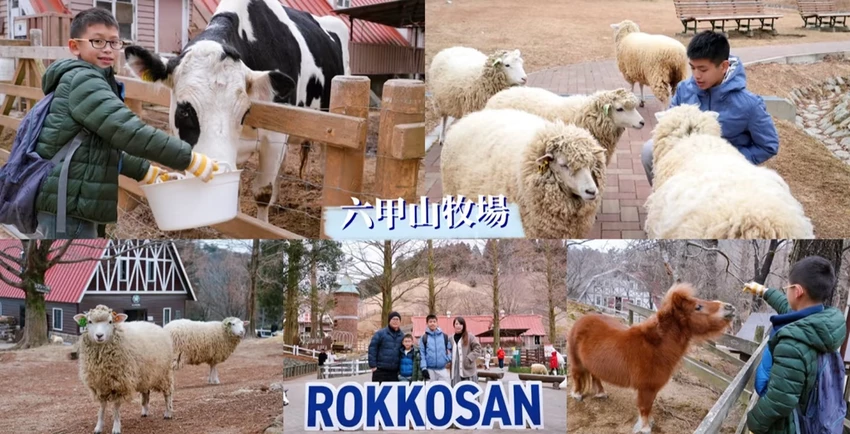 神戶親子景點｜六甲山牧場一日遊，交通、門票及園區介紹，與可愛動物們零距離互動!