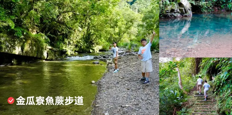 新北親子步道推薦「金瓜寮魚蕨步道」親民好走，走幾分鐘就能看魚玩水!