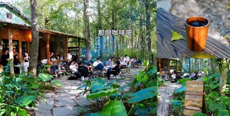 坪林森林系秘境咖啡廳「那個咖啡吧」菜單與候位資訊，走進森林裡喝咖啡!